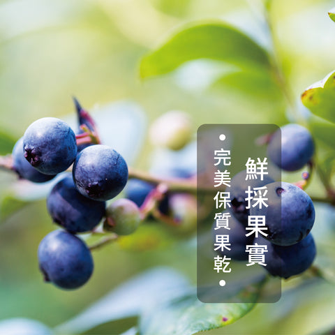 凍乾果乾系列-精選凍乾藍莓粒｜100g