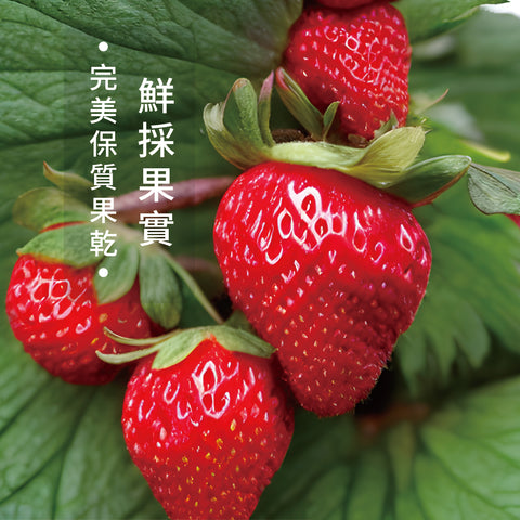 凍乾果乾系列-頂級草莓乾｜100g