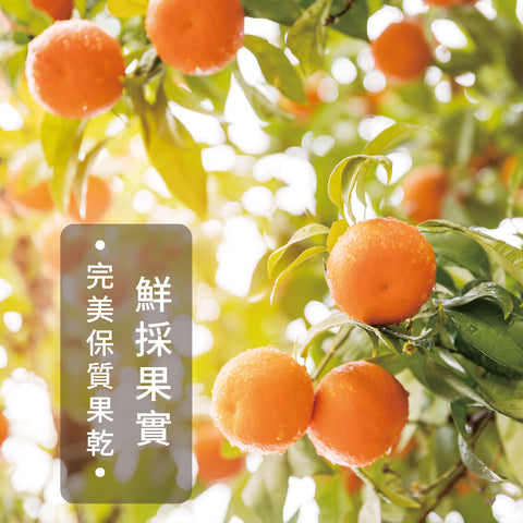 凍乾果乾系列-頂級凍乾香橙片｜50g